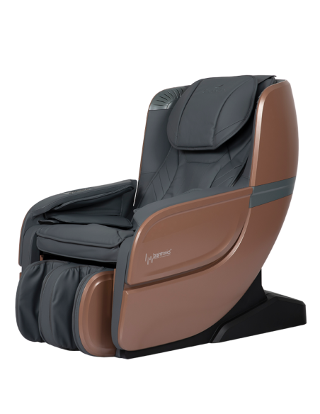 EcoSonic 3D braintronics