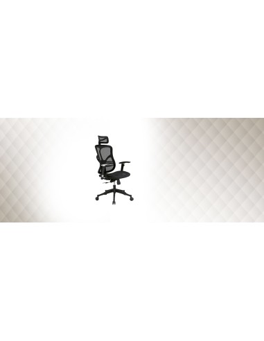 SITERGO 521 ✔️ - Silla de diseño elegante.