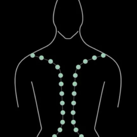 KIT CALOR CON JADE para Perfect Chair